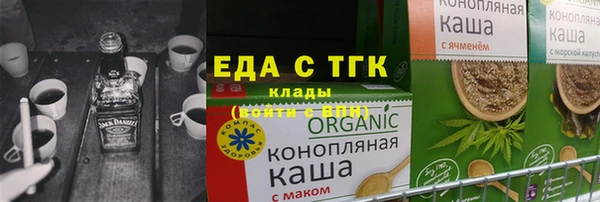 гашик Ельня
