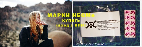 бошки Елабуга
