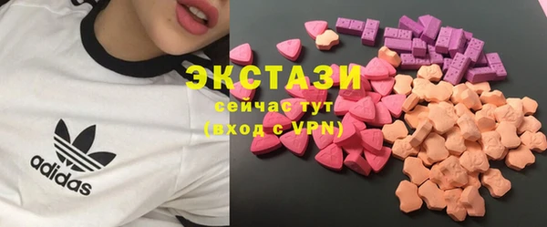 гашик Ельня