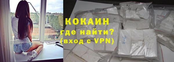 гашик Ельня