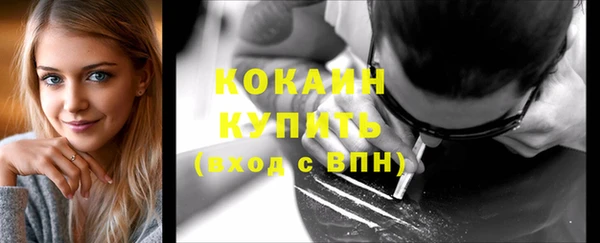 гашик Ельня