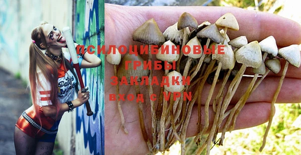 бошки Елабуга