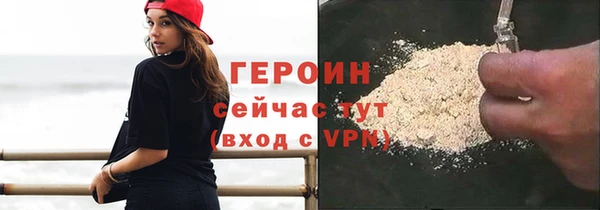 гашик Ельня