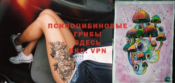 гашик Ельня