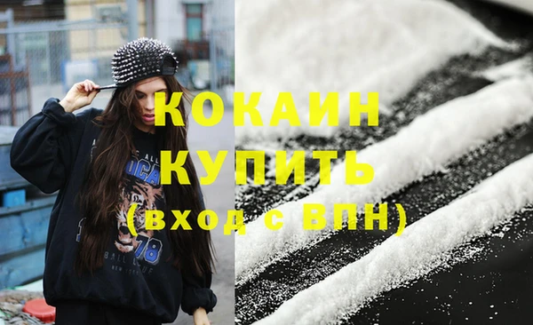 гашик Ельня