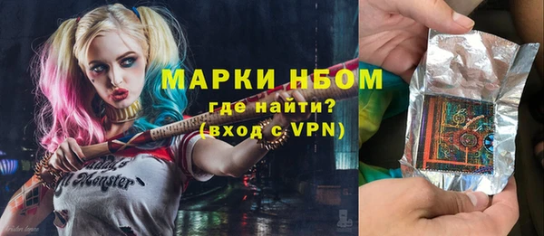 гашик Ельня