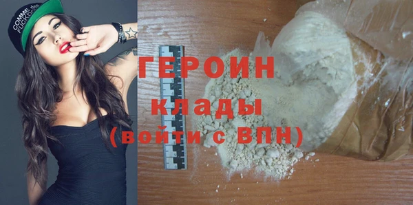 гашик Ельня
