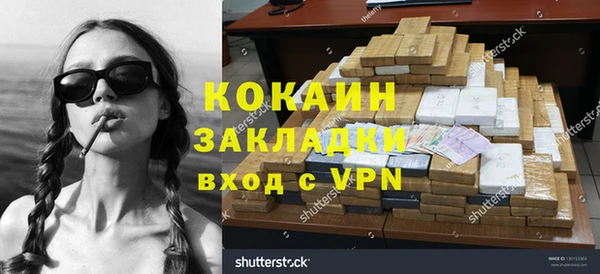 гашик Ельня