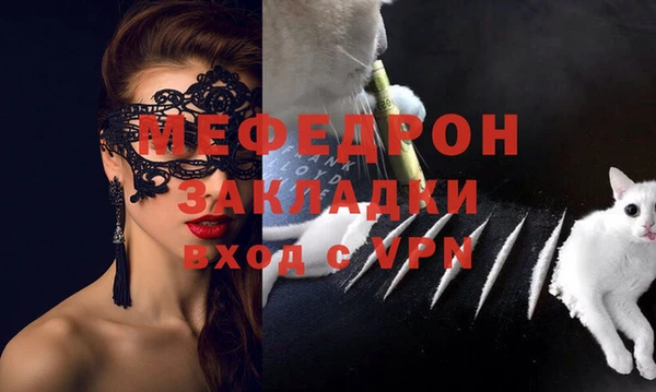 прущие грибы Дмитриев