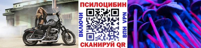 Псилоцибиновые грибы GOLDEN TEACHER  закладки  Верхотурье 